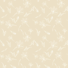 Seamless floral pattern. Pattern with white graphics flowers on beige background. Alstroemeria. Seamless pattern with transparent hand drawn plants. Herbal Botanical illustration.