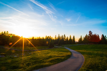 Sonnenuntergang im Wald