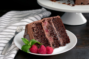 Slice of Chocolate Raspberry Cake