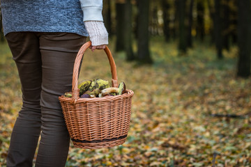 Woman holding wicker basket with mushroom in autumn forest © encierro
