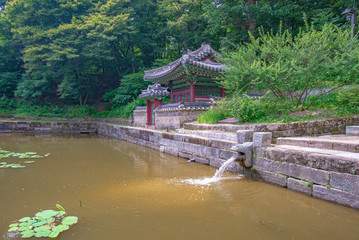Fototapeta premium Pond and small waterfall, Secret Garden of the changdeokgung palace