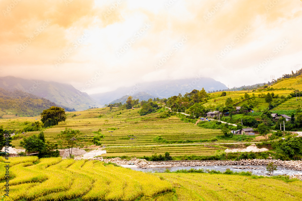 Wall mural Golden Season in North Western , Vietnam. The terraces here have a long history, and are very beautiful. 