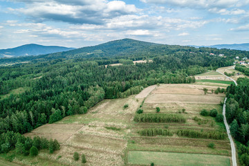 Fototapeta na wymiar Mountains and green forest. Blue sky with clouds. Aerial shot.