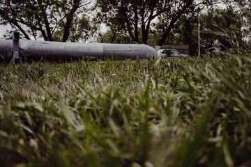 grass and water