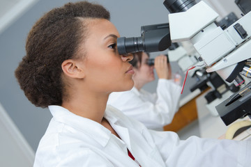 female laboratory workers in profile looking into mcroscopes