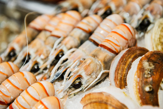 langoustines for sale at a seafood market