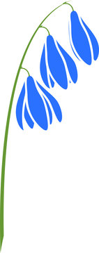 bluebell flowers on green stem clip art preview