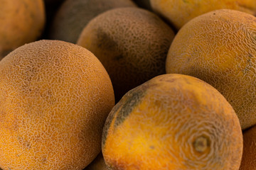 Yellow rind melons. Fresh tropical fruit.