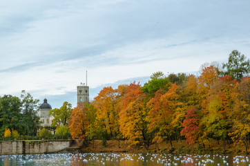 Fototapeta premium The lake with clear blue water, on the background, the walls are decorated with gold autumn trees and old stone pier on the other side.