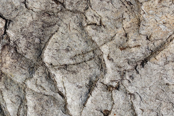 Ukraine, Kiev,  stone texture background
