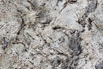 Ukraine, Kiev,  stone texture background