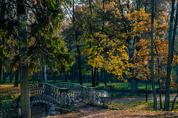 Fototapeta na wymiar A shady autumn Park with multi-colored trees decorated in autumn, a path sprinkled with red sand, an ancient bridge.