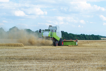 Fototapeta premium Harvesting wheat and barley modern combine.