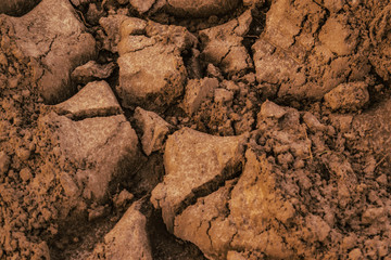 Texture of light soil soil. Background of dirt, soil with a trace of the car.