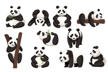 Set of cute big panda in different poses cartoon animal design flat vector illustration © Alfmaler