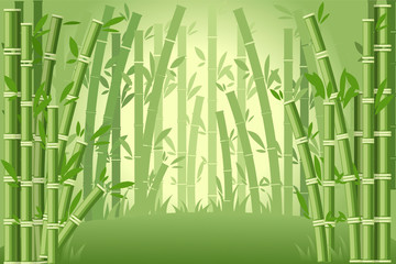 Bamboo trees asian forest landscape flat vector illustration