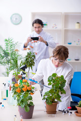 Two young botanist working in the lab 