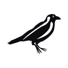 Vector image of a crow. Silhouette of a crow on a white background.