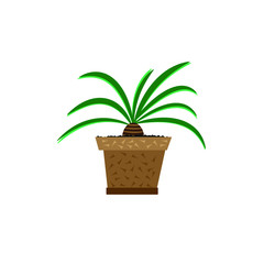 Vector flower in a pot. Green decorative flower. Flowerpot on a white background.