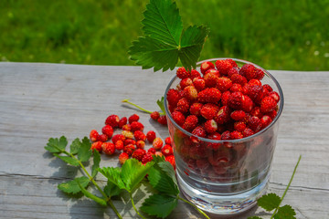On a wooden surface is a glass of wild strawberries. Nearby scattered a few berries and leaves. Summer nature in the background with blur. Ripe berries are rich in vitamins for a healthy diet.