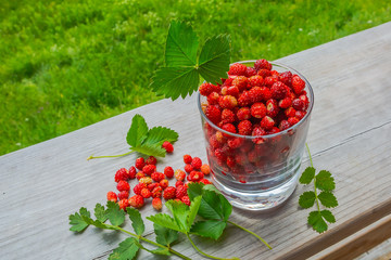 On a wooden surface is a glass of wild strawberries. Nearby scattered a few berries and leaves. Summer nature in the background with blur. Ripe berries are rich in vitamins for a healthy diet.