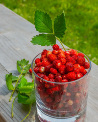 On a wooden surface is a glass of wild strawberries. Nearby scattered a few berries and leaves. Summer nature in the background with blur. Ripe berries are rich in vitamins for a healthy diet.