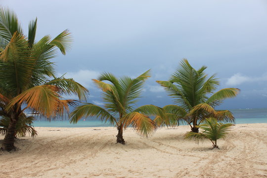punta cana