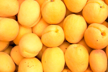 Background of apricots close-up.