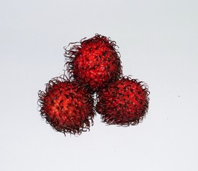 Three Red Rampton Fruits 