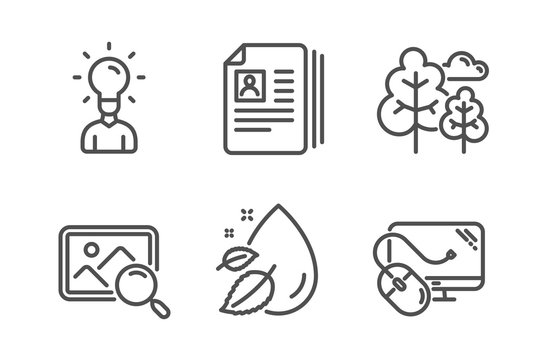 Education, Cv documents and Search photo icons simple set. Water drop, Tree and Computer mouse signs. Human idea, Portfolio files. Business set. Line education icon. Editable stroke. Vector