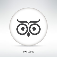 vector illustration of an owl
