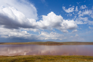 Landscape of pink lake. Crimea Kayazhskoe lake. The reserves of the peninsula.