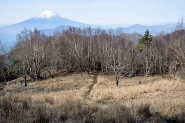 雁ヶ腹摺山より富士山