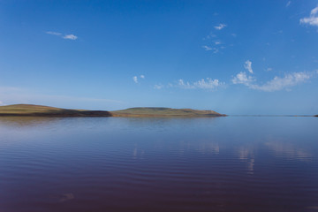 The surface of the pink lake and its shore in the background.