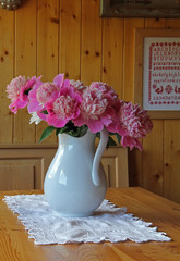 brocca bianca con peonie in un locale rustico © gabriffaldi