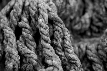 Mop Head in Black and White