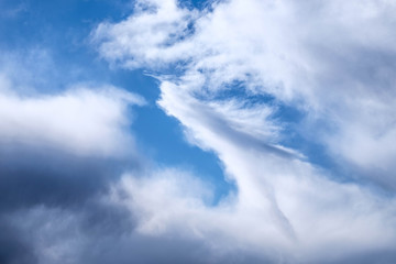 Fototapeta na wymiar Blue sky white cloud looking like a dragon head flying