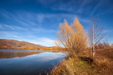 Autumn landscape in New Zealand. Calm peaceful nature scene of autumn season in New Zealand