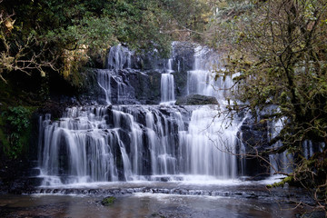 waterfall in the forest