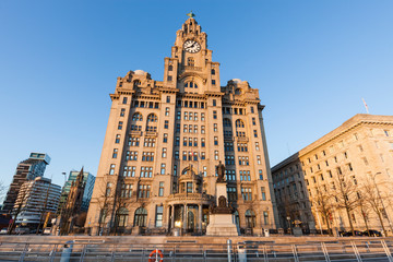 Obraz premium Royal Liver Building in Liverpool