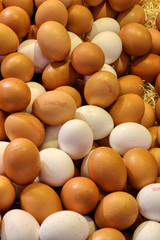 Mixed brown and white eggs ready to be sold at the market