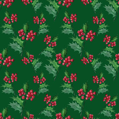 Fototapeta na wymiar Watercolor background with Christmas plant Holly