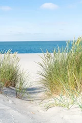  Duin met strandgras. © ryszard filipowicz