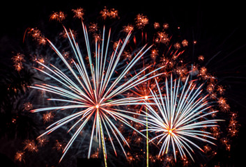 Fireworks light up the night sky