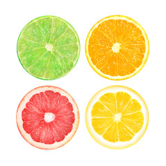 Slices of orange, pink grapefruit, lime and lemon