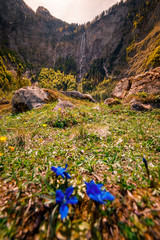 Fototapete bei efototapeten.de bestellen   