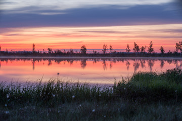 Morning at the swamp