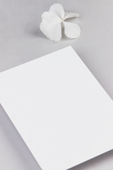light grey white flatlay business wedding white hydrangea top view feminine 