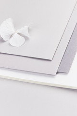 light grey envelope paper flatlay business wedding white hydrangea top view feminine 