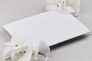 light grey white paper invitation flatlay business wedding white hydrangea top view feminine 